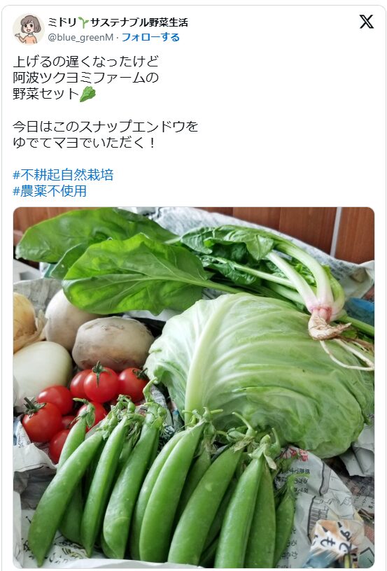 実際のツイートのスクリーンショット。「上げるの遅くなったけど 阿波ツクヨミファームの野菜セット。今日はこのスナップエンドウをゆでてマヨでいただく！「という文章と野菜セットの画像。